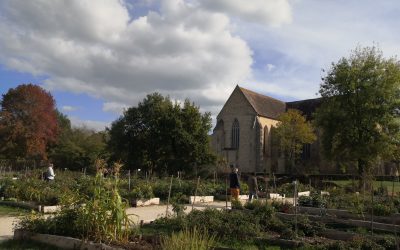 Abbaye de l’Epau – Pourquoi philosopher quand on cherche un emploi ?